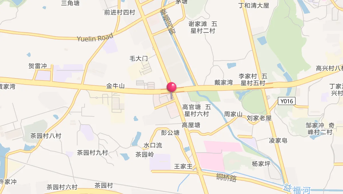 茶园岭的礼拜时间