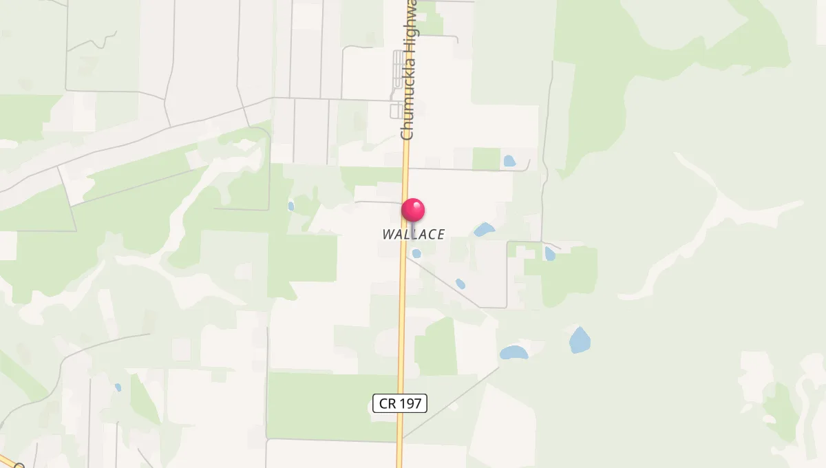 Prayer Times in Wallace