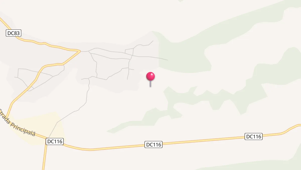 Ore de Rugăciune în Bâcleș