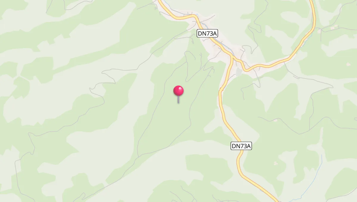 Ore de Rugăciune în Poiana Mărului (Brașov)