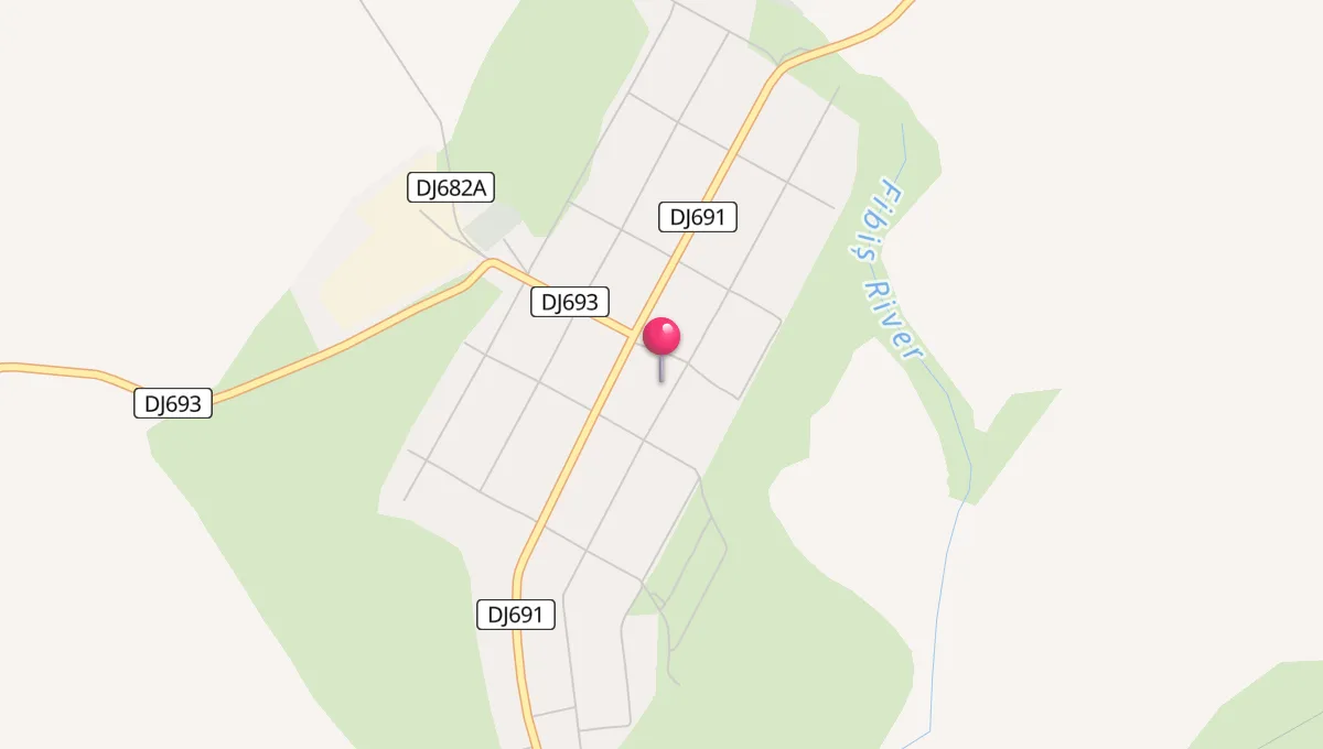 Ore de Rugăciune în Fibiș
