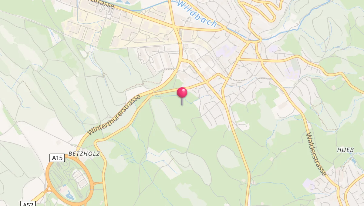 Orari di Preghiera a Bezirk Hinwil
