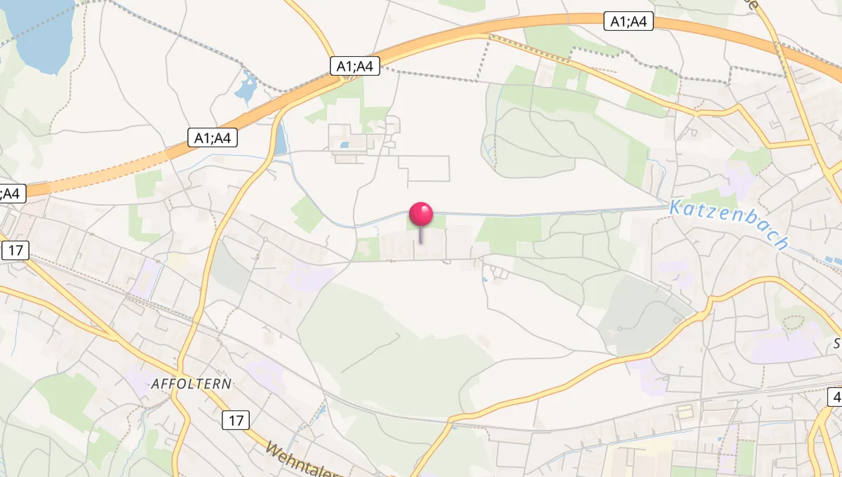 Gebetszeiten in Zürich (Kreis 11) / Schwandenholz