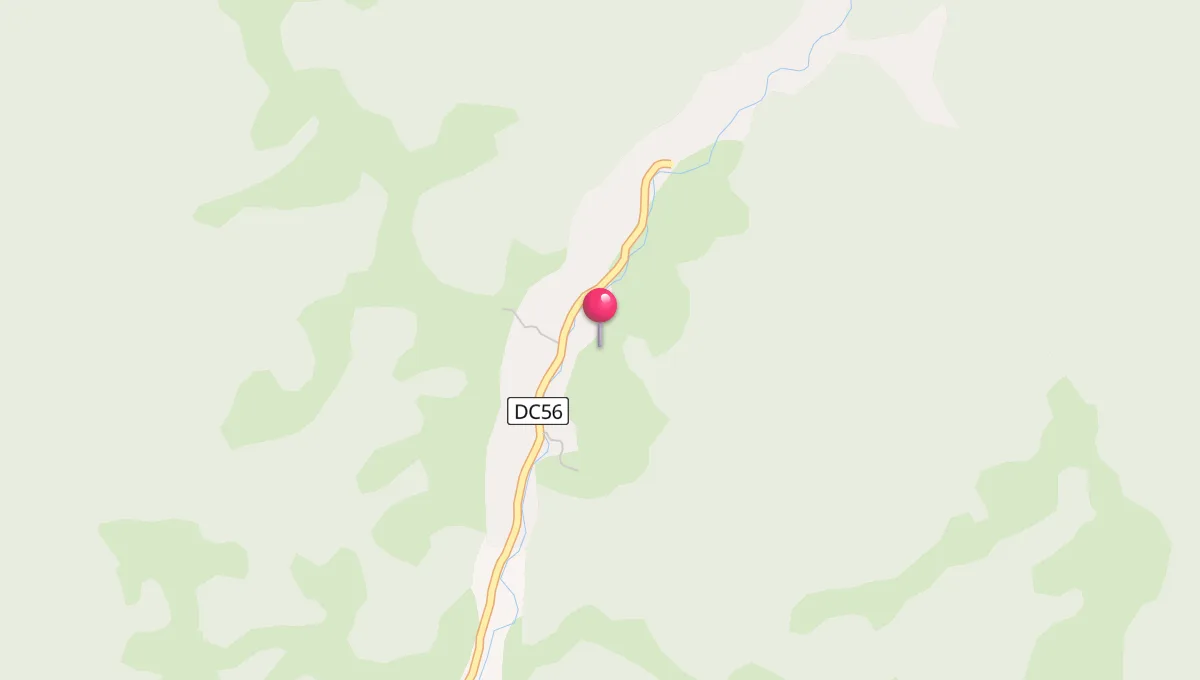Ore de Rugăciune în Poiana Botizii