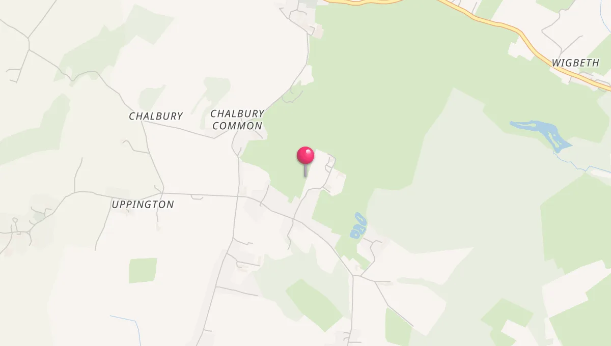 Prayer Times in New Forest