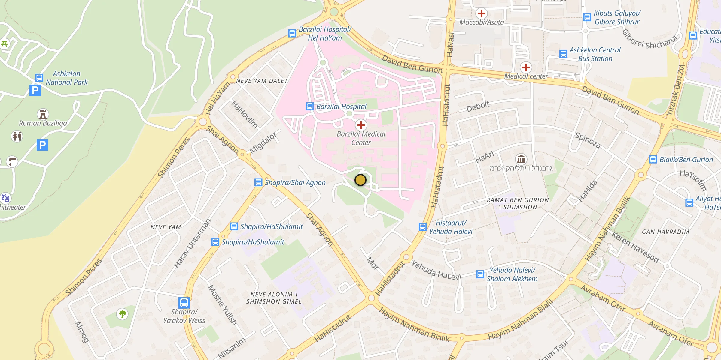 Carte des mosquées à Beit Lahia