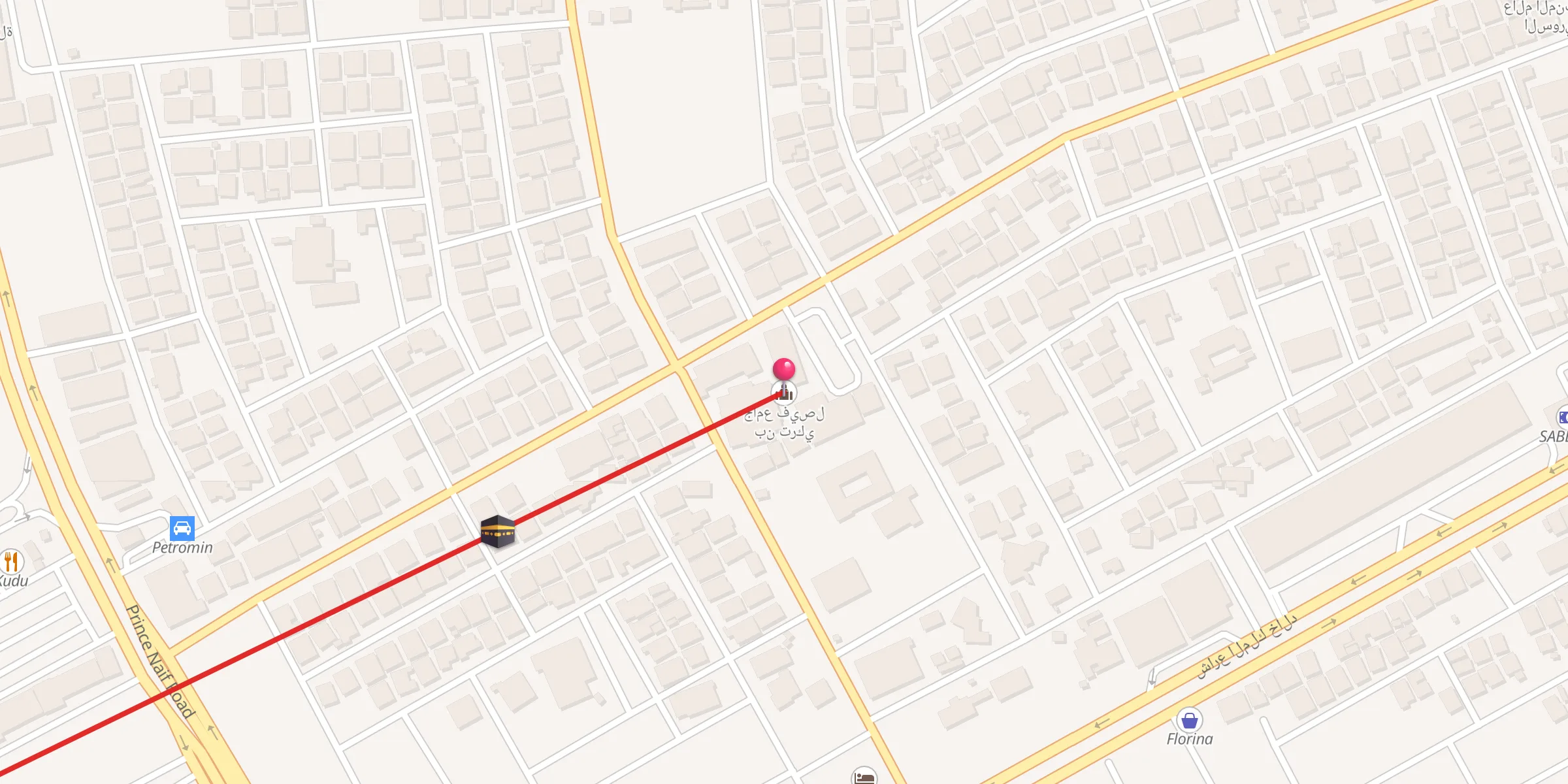 Carte de localisation : جامع فيصل بن تركي