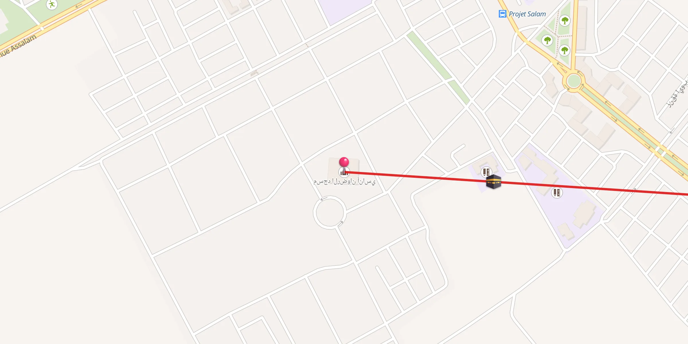 Carte de localisation : مسجد الرضوان أناسي