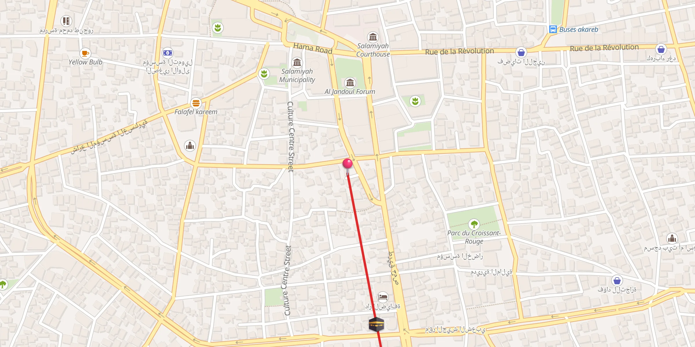 Carte de localisation : مسجد الوفي أحمد