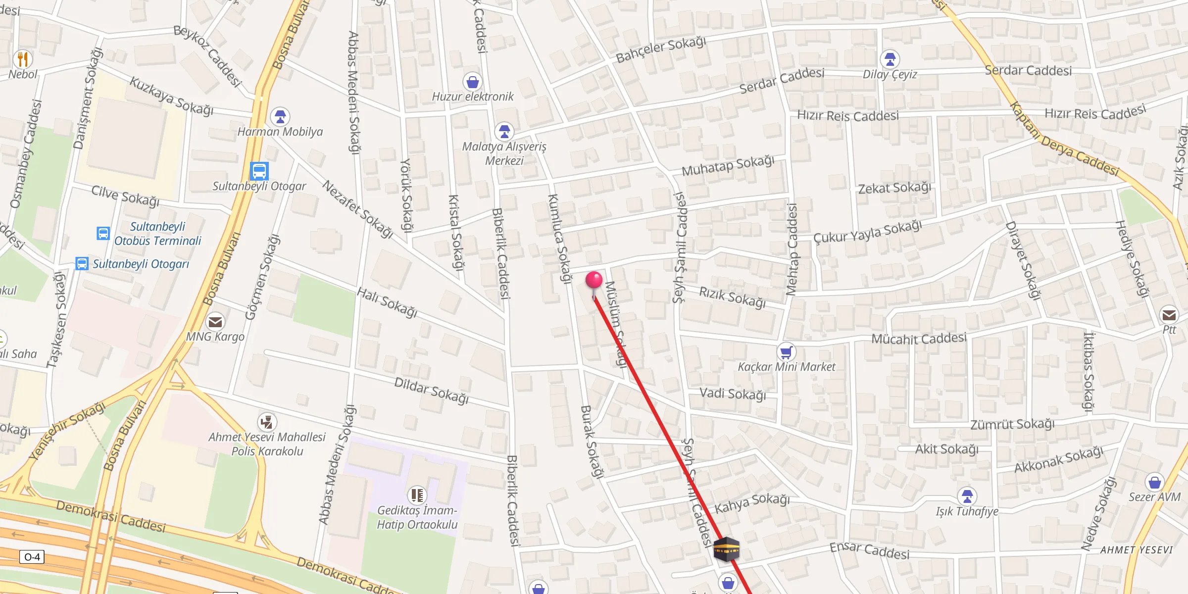 Carte de localisation : Ahmet Yesevi Camii