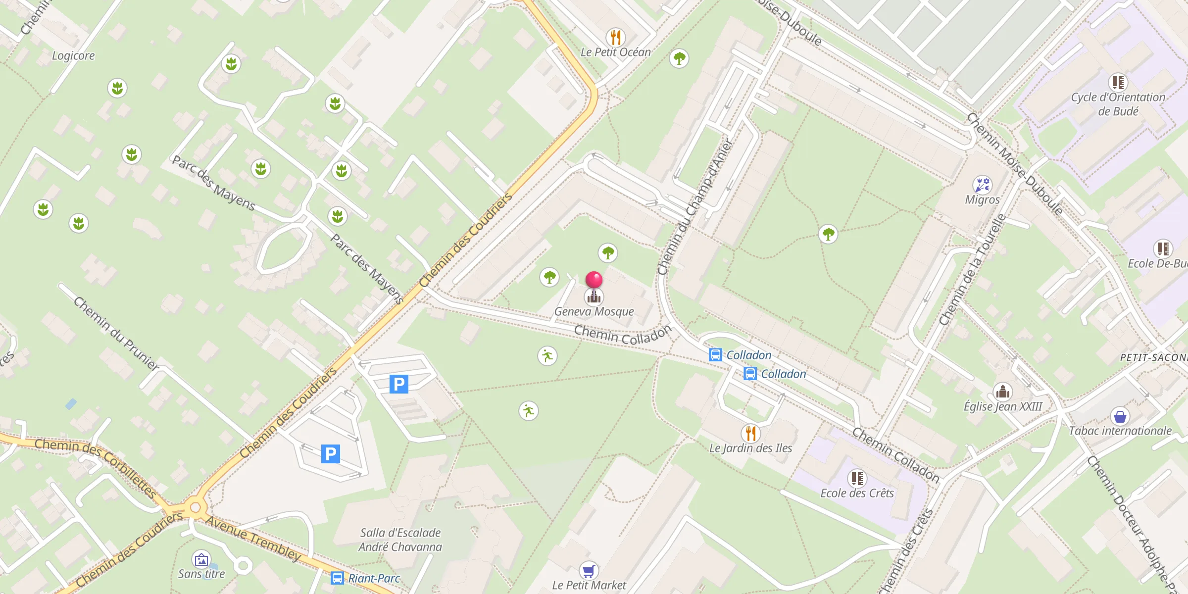 Carte de localisation : Mosquée du Petit-Saconnex