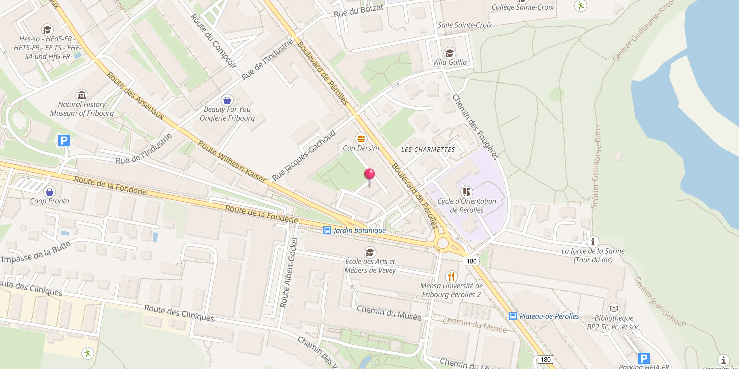 Carte de localisation : Mosquée de Fribourg - MOFRI